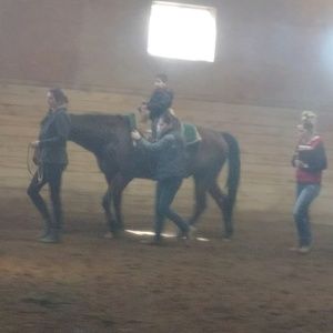 Meet your Posher, Josephine